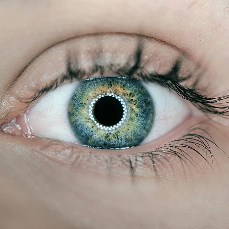 Understanding the Role of Cadence in Business Operations