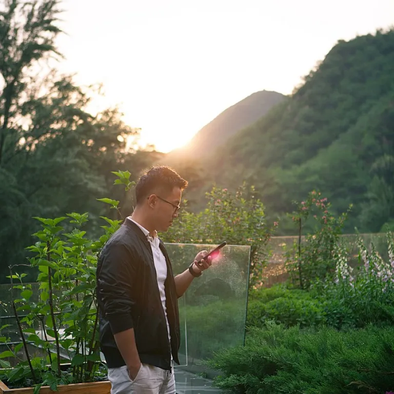 How the launchsuccessfulstartup com newsletter can guide your change management journey